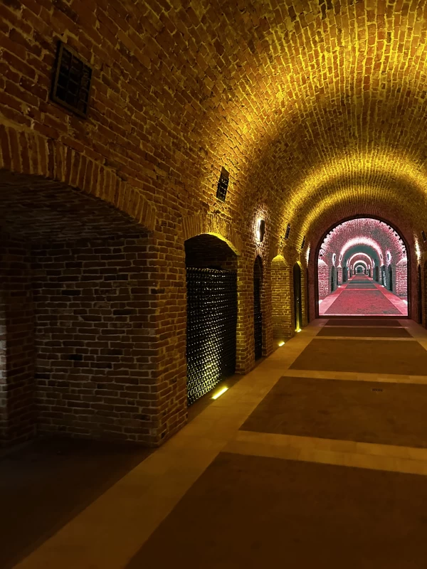 Valdo Invest @ Midalidare Estates & Oriachovitza Winery | Bulgaria 2025&nbsp;2/5